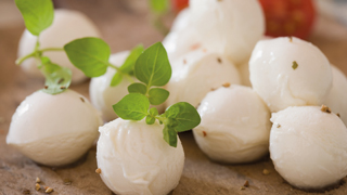 sru_proven_curd_transfer_320x180_new.jpg