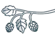image8qh2l.png