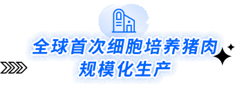 全球首次细胞培养猪肉.png