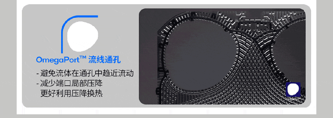 0811图片7.jpg