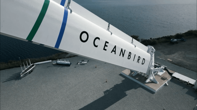 oceanbird展示.png