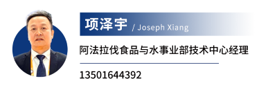 academy 11.png