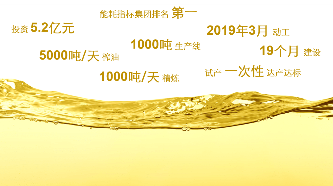 COFCOOIL_1.png