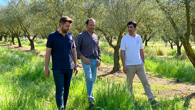 Alfa Laval olive oil processing